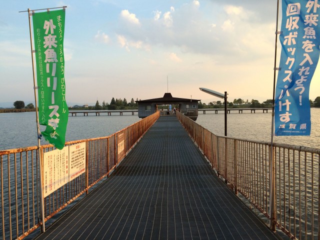 琵琶湖緑地公園　木浜－１　釣りスポット