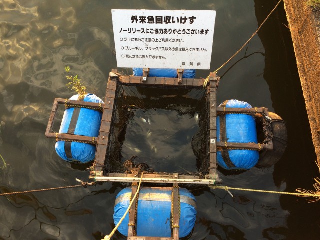 琵琶湖緑地公園　木浜－１　釣りスポット