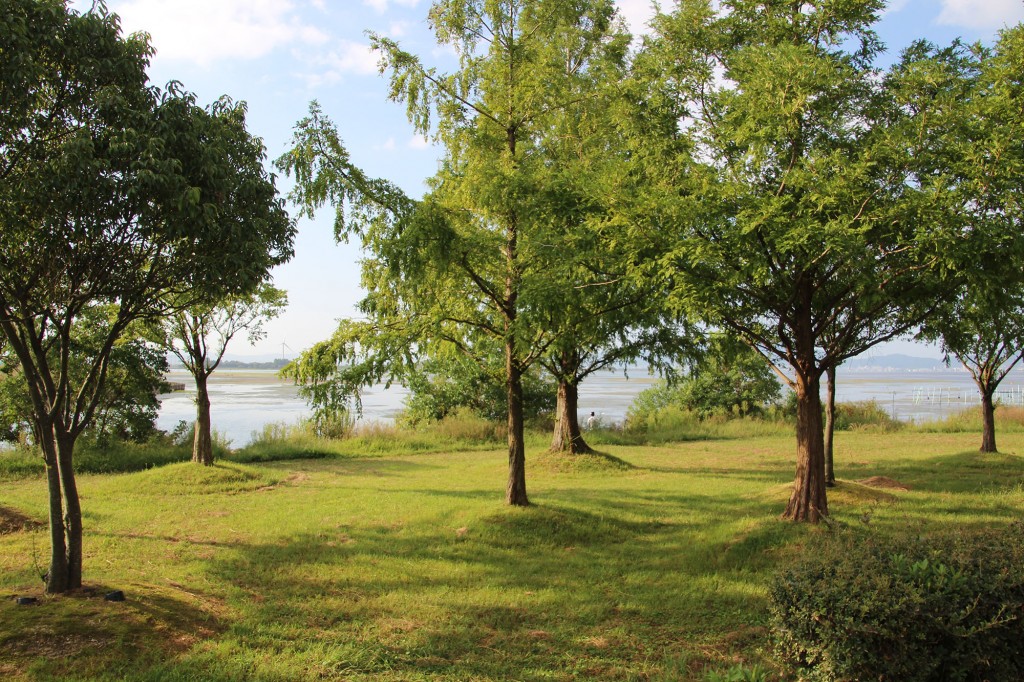 琵琶湖湖岸緑地公園　木浜－１（南）