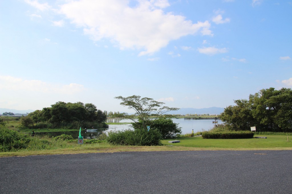 琵琶湖湖岸緑地　赤野井３（南）