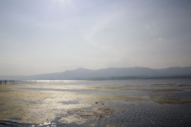 琵琶湖緑地公園　木浜－１