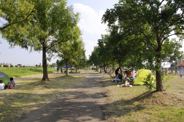 琵琶湖緑地公園　木浜－１