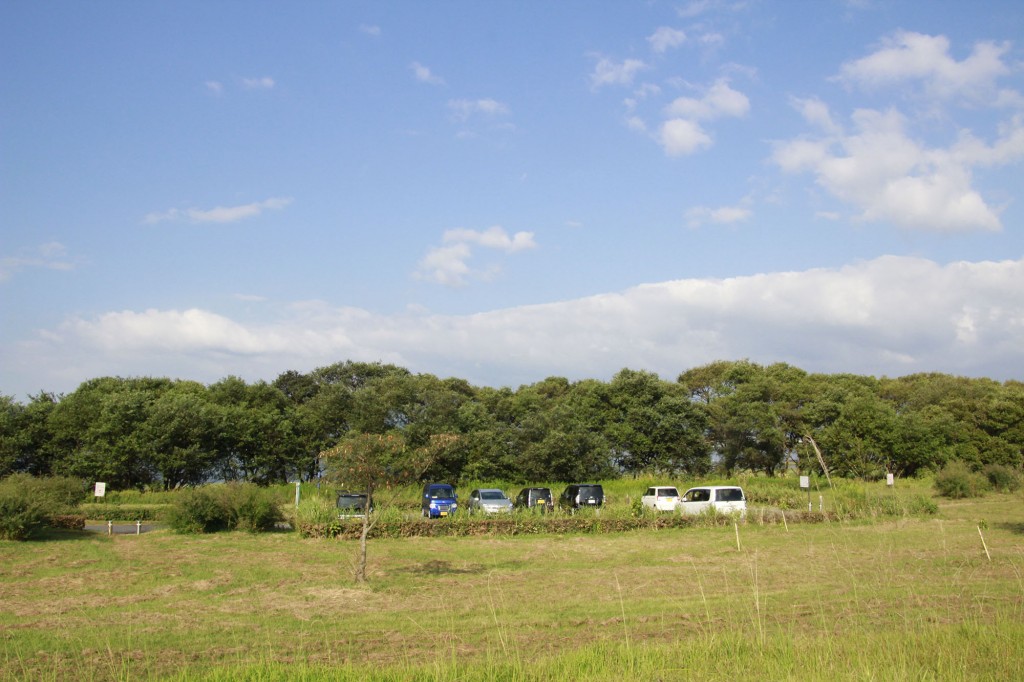 琵琶湖湖岸緑地　赤野井３（北）