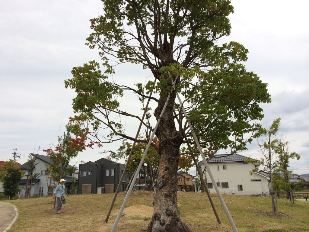 えんまどう公園　滋賀県守山市