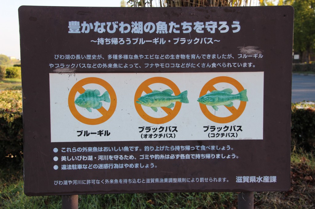 琵琶湖緑地公園　赤野井１　釣りの注意事項