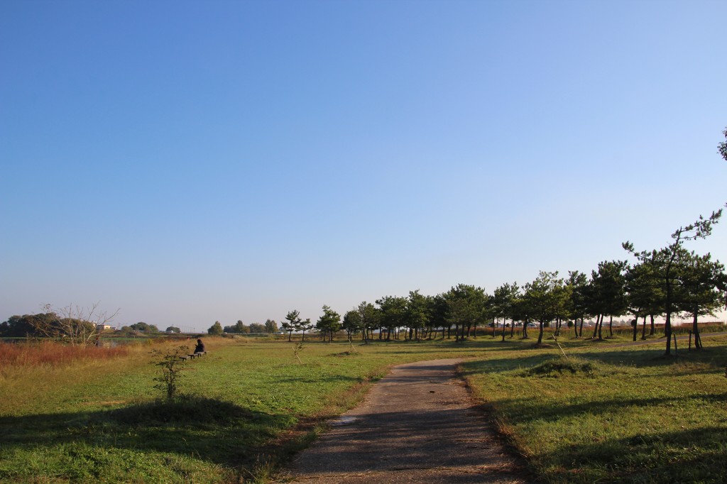 琵琶湖緑地公園　赤野井１