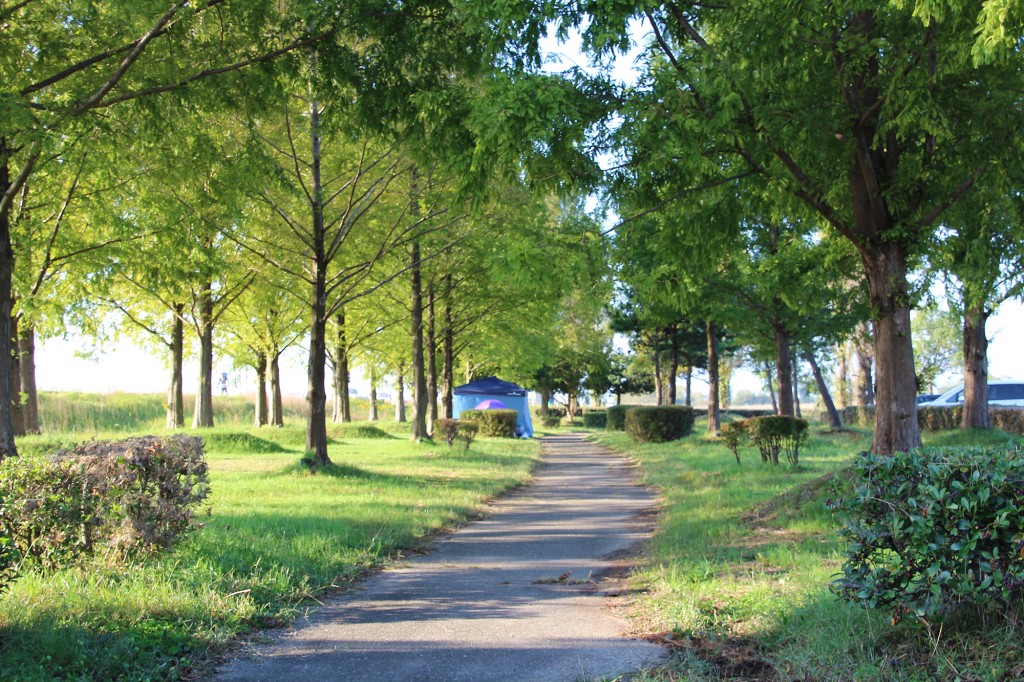 琵琶湖緑地公園　赤野井１