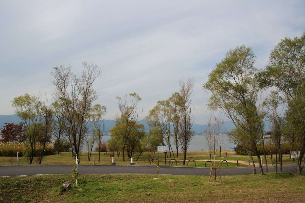 琵琶湖湖岸緑地　津田江３