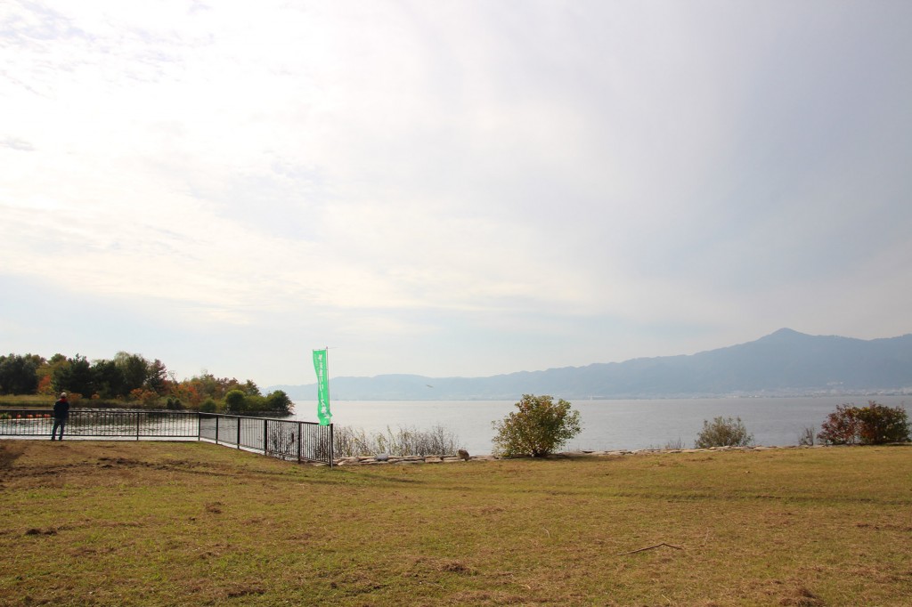 琵琶湖湖岸緑地　津田江３