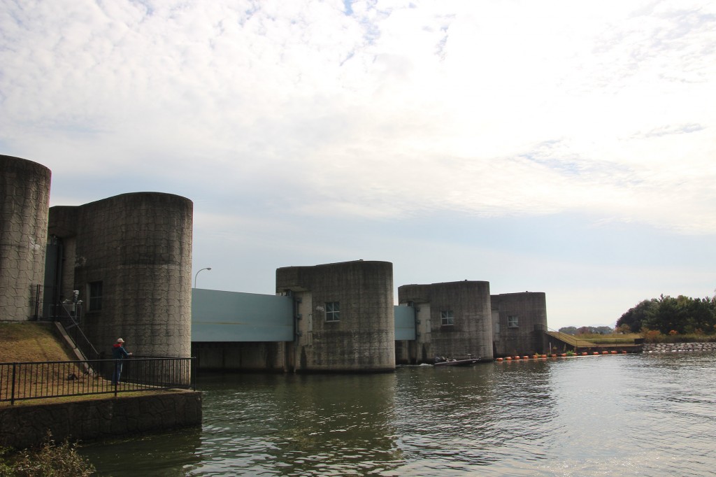 琵琶湖湖岸緑地　津田江３