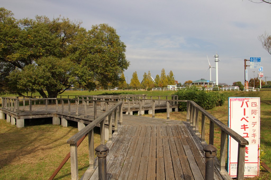 琵琶湖湖岸緑地　津田江３