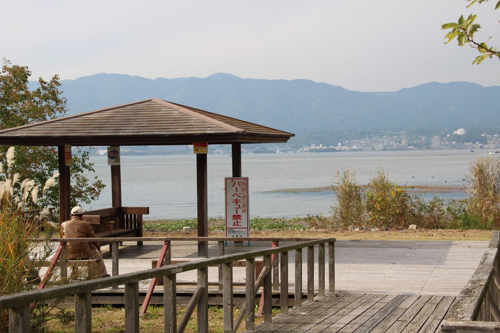 琵琶湖湖岸緑地　津田江３