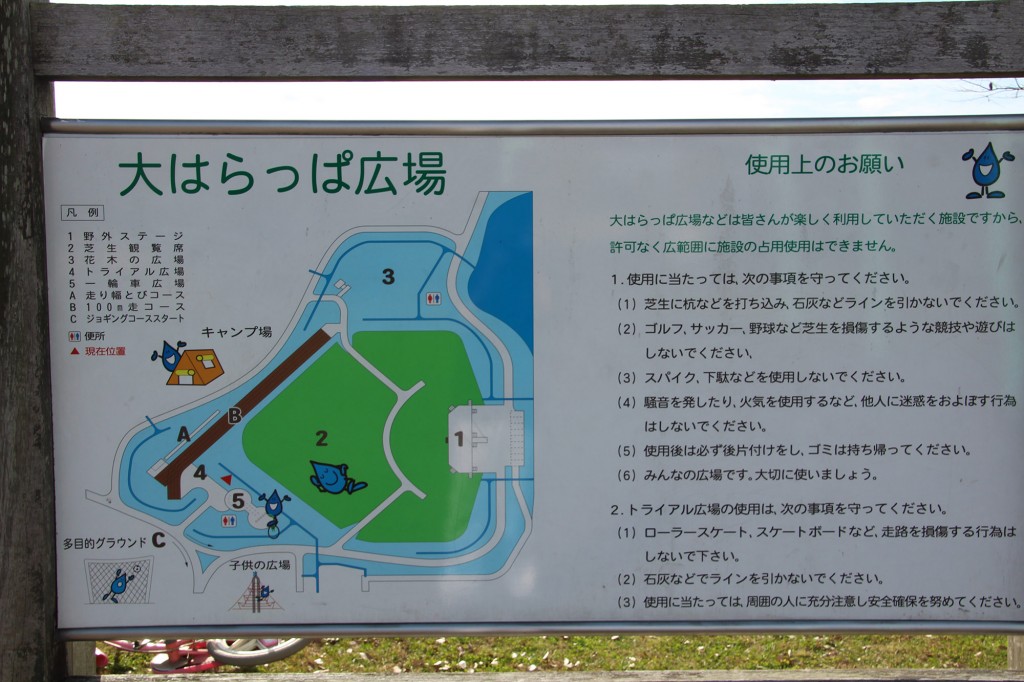 矢橋帰帆島公園　大はらっぱ広場