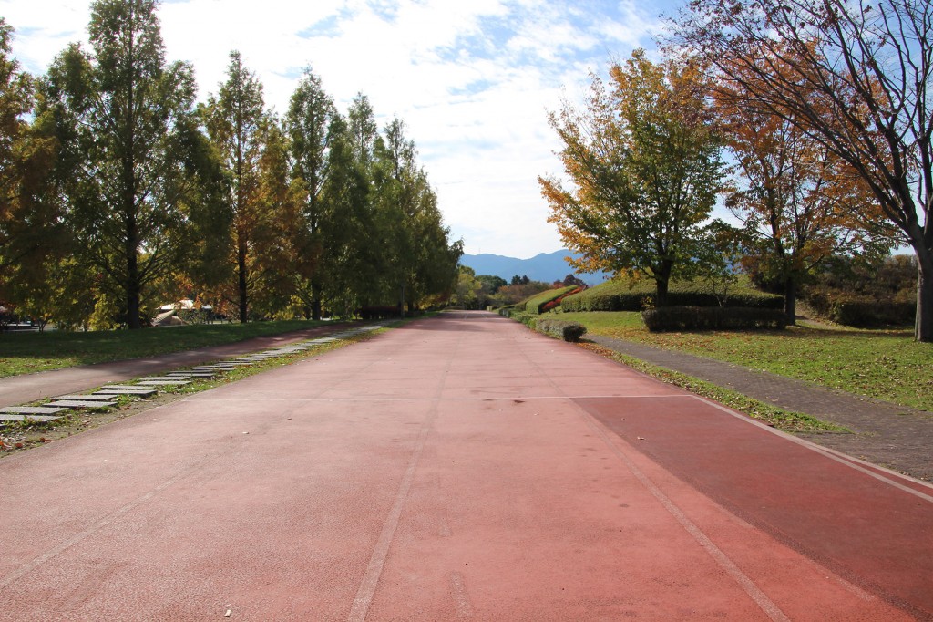 矢橋帰帆島公園　１００ｍトラック