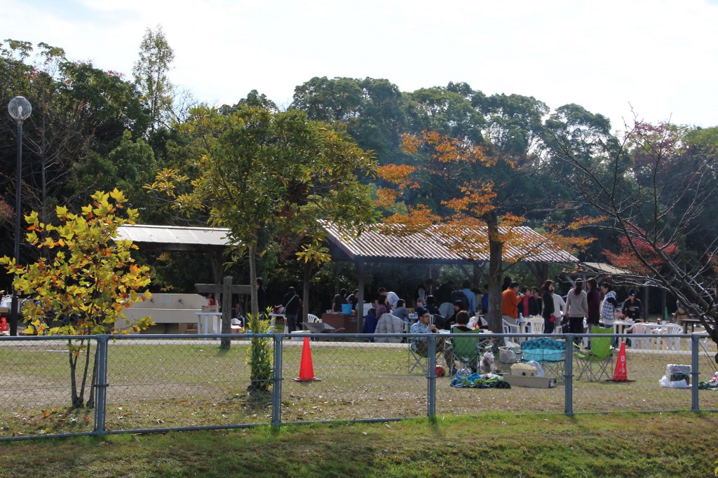 矢橋帰帆島公園　キャンプ　BBQ