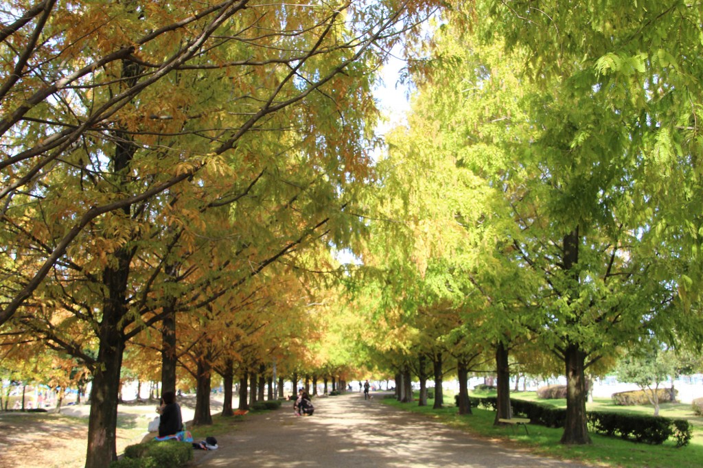 矢橋帰帆島公園