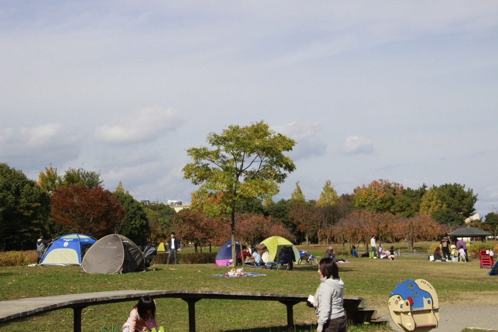 矢橋帰帆島公園　芝生